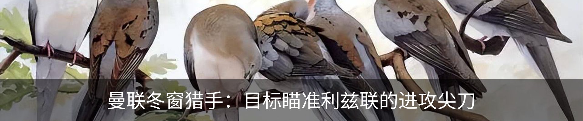 内页banner