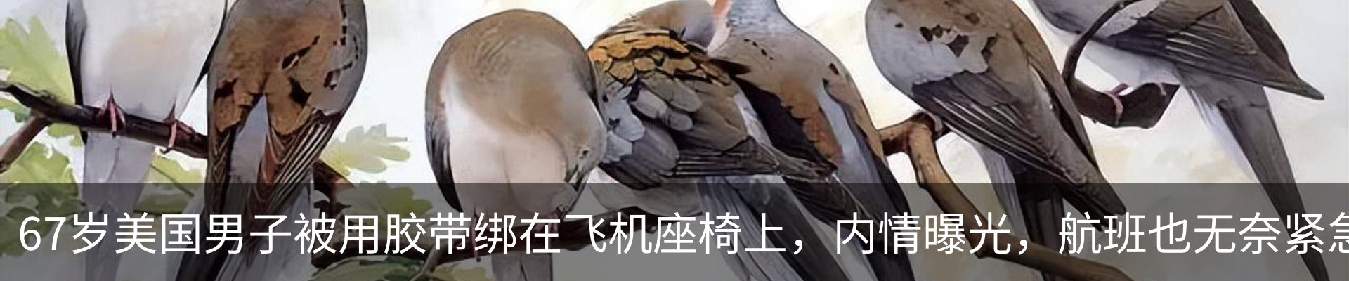 内页banner